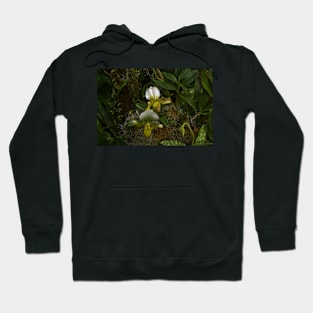 Orchids #1 Hoodie